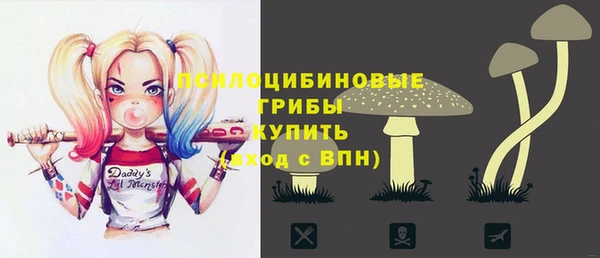 бошки Абаза