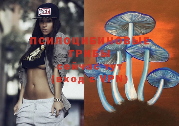 бошки Алексеевка