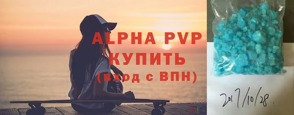 индика Осинники