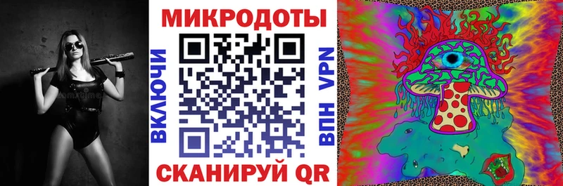 Псилоцибиновые грибы Psilocybe  цены   kraken ТОР  Новосиль 